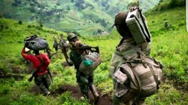 Accrochage  FARDC et APCLS _ph des droits tiers