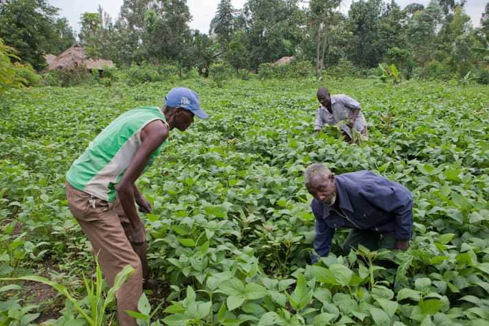 Agriculteurs _photo des droits tiers