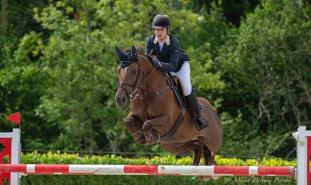 Saut d'un cheval_photo Michel Delveau