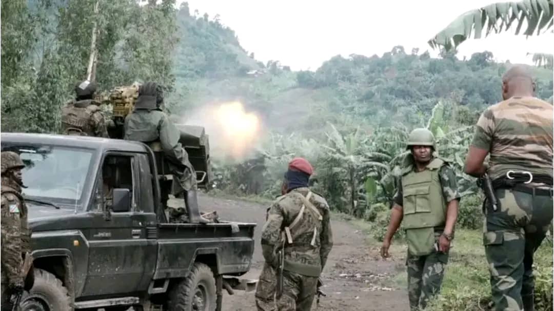 FARDC