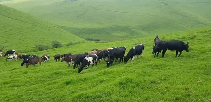 Masisi batailles sur une colline