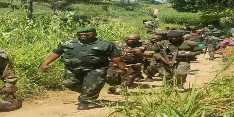 fardc sur terrain_photo des droits des tiers