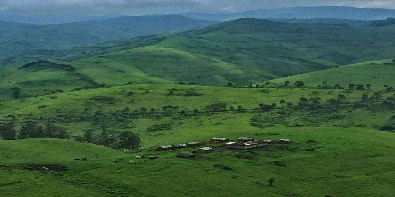 masisi