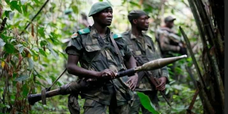 FARDC photo droit de tiers