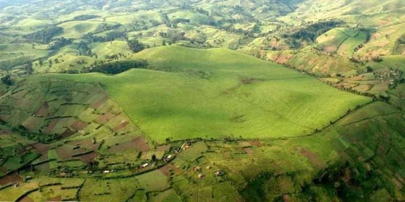 Colines de Masisi