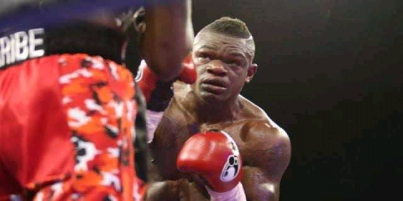 Boxe Youri Kalenga _ph des droits tiers