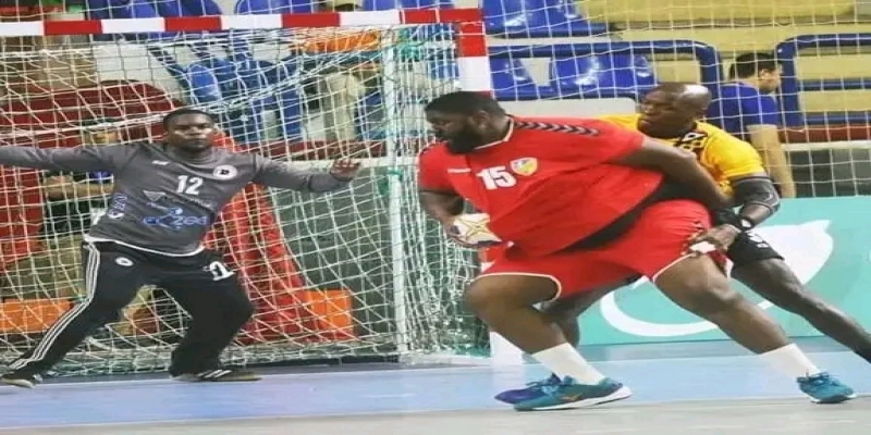 Léopards handball