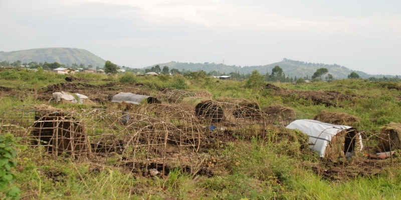 Agression Rwandaise : les groupes armés locaux "Wazalendo" pourchassent le M23 à Masisi