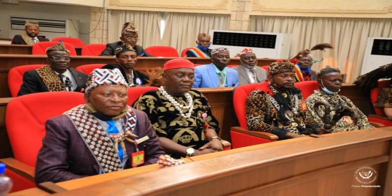 Les traditionnels aux consultations