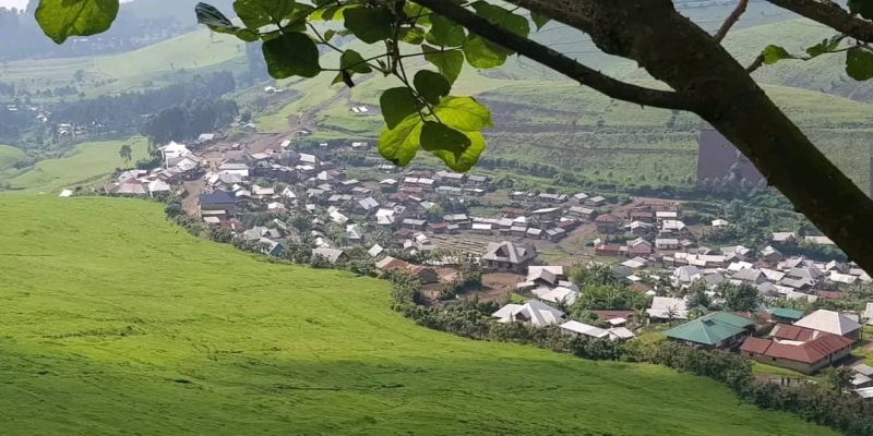 Masisi