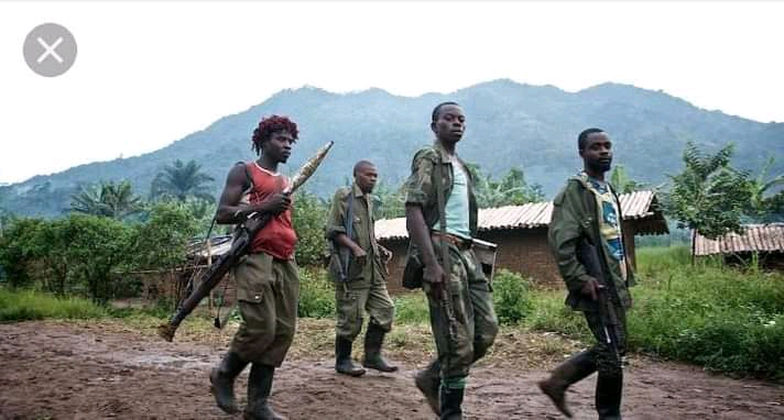 FARDC Combattant_photo des droits tiers