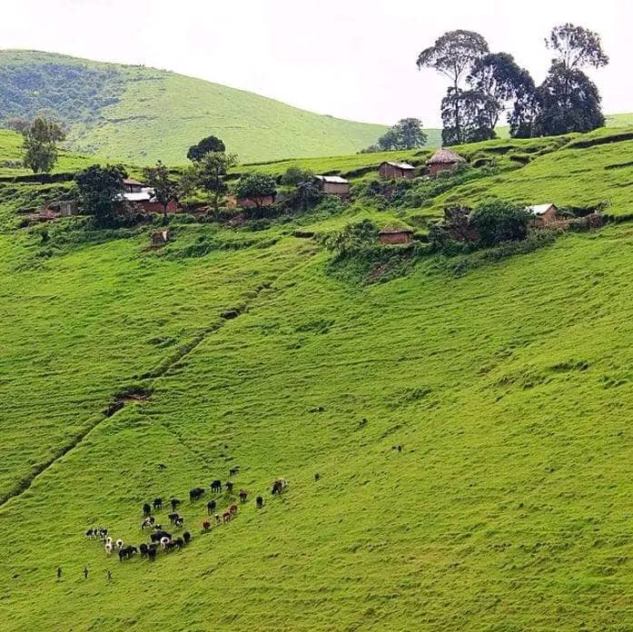 Village en territoire de Masisi