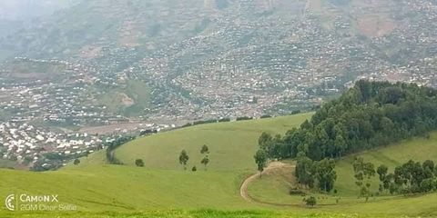 Masisi